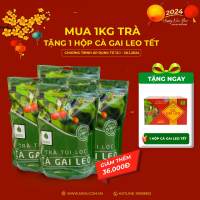 Trà giải độc gan Túi lọc Cà gai leo SADU hỗ trợ Thải độc mát gan tăng cường chức năng Gan