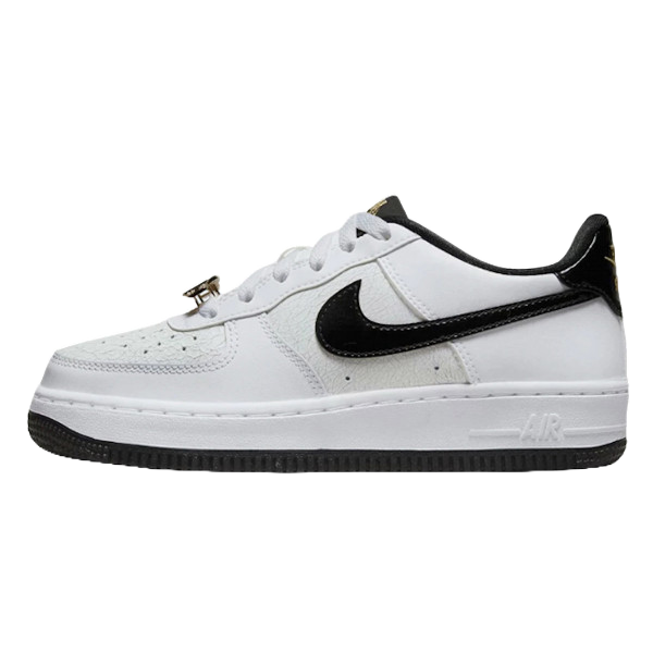 Chính Hãng Giày Nike Air Force 1 Panda / World Champs