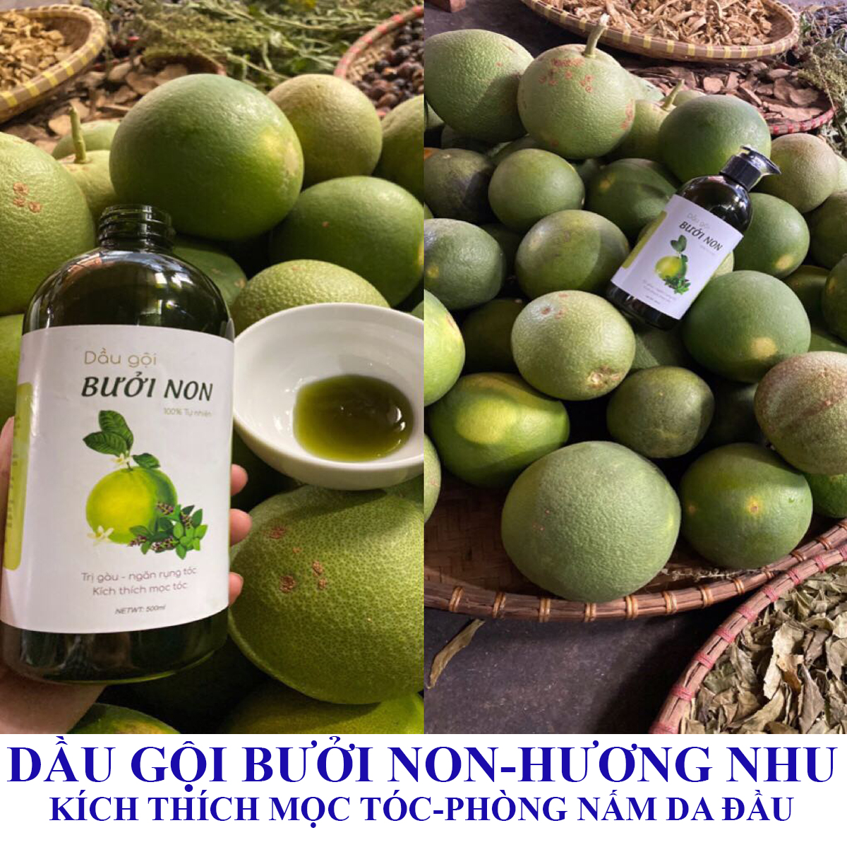 Dầu Gội Bưởi Non Hanmade Giúp Mọc Tóc Dưỡng Tóc