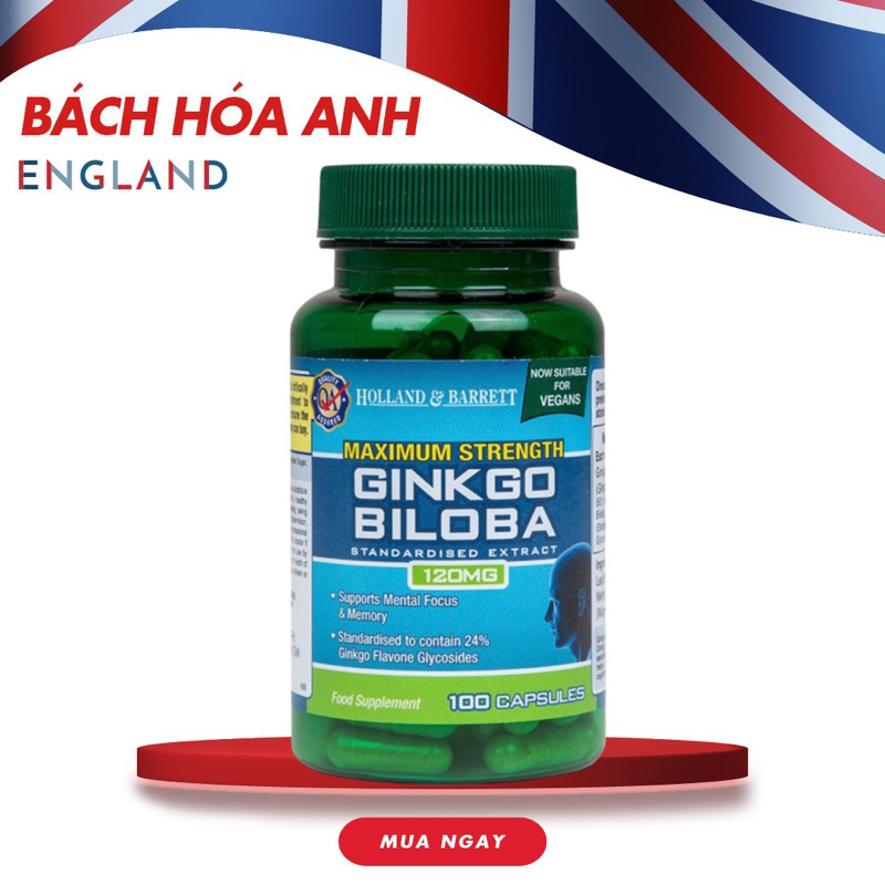 [HÀNG CHUẨN ANH] Viên uống hỗ trợ trí não Ginkgo Biloba  Maximum Strength 120mg 100 viên chính hãng 