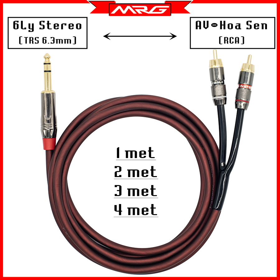Dây 6Ly Stereo Ra 2 Đầu AV Hoa Sen Dài 4met 3met 2met 1met TRS 1/4inch To 2 RCA TG003 MrG | dây 6mm