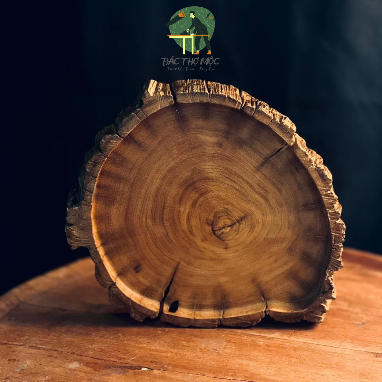 Đĩa gỗ tròn khay trà tròn gỗ lũa nguyên tấm decor