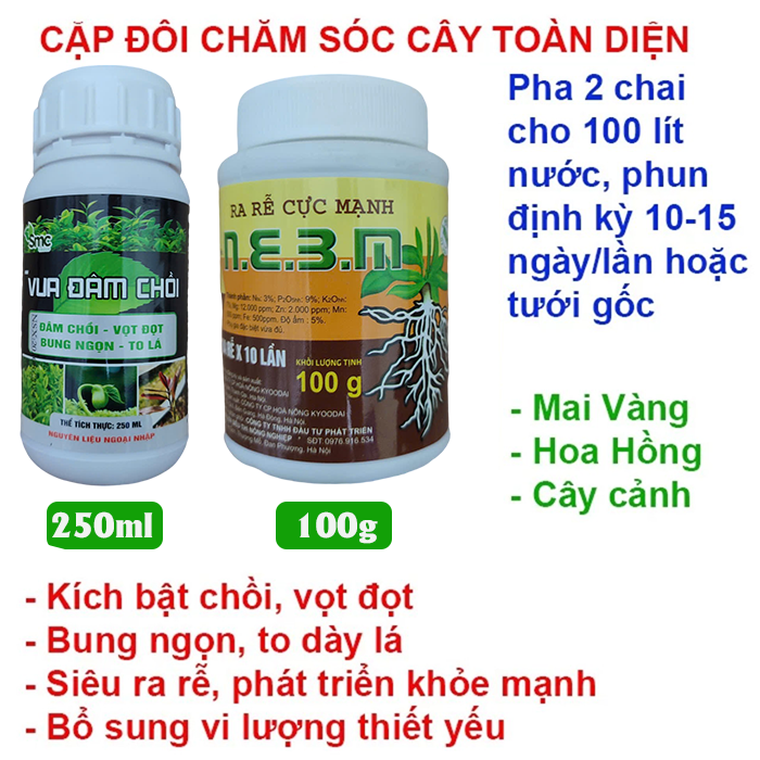 Cặp đôi phân bón chăm sóc cây toàn diện cho cây mai vàng hoa hồng cây cảnh vua đâm chồi siêu vọt đọt