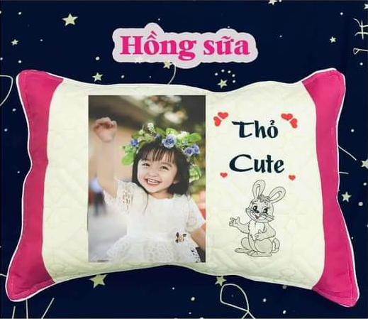 Gối in hình theo yêu cầu cho bé combo gối ôm và nằm