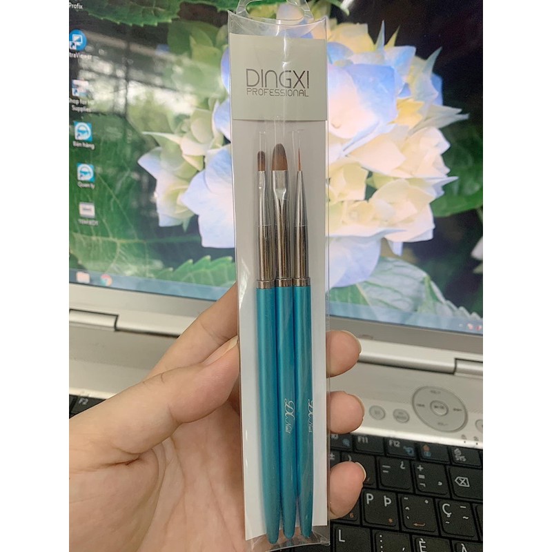 [Hcm]Set Cọ Dingxi Cao Cấp Nails Art Brush