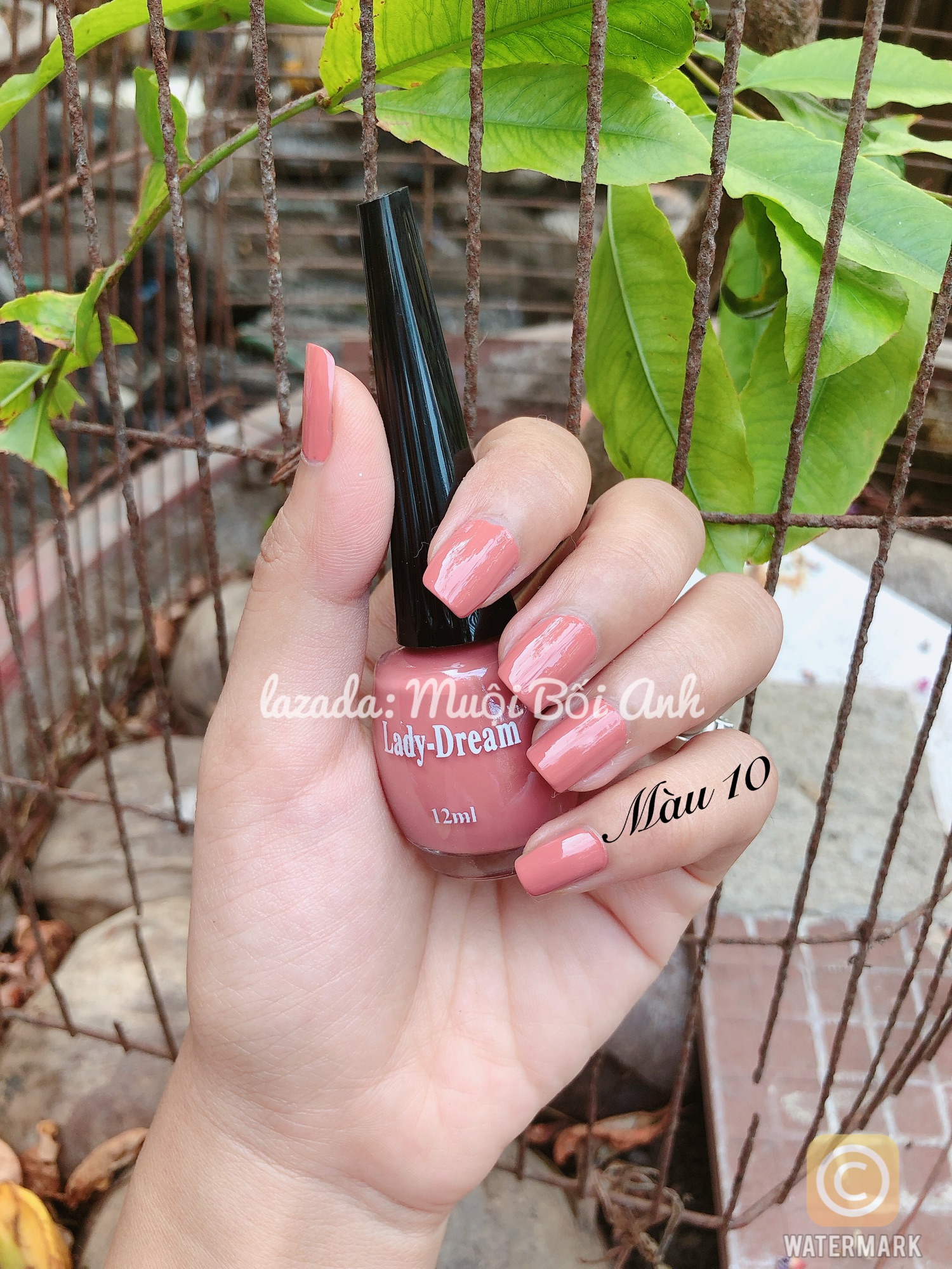 [HCM]Sơn móng tay Ladydream 12ml