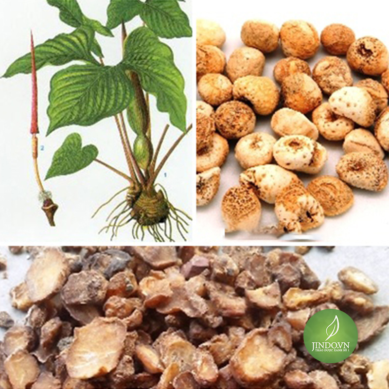 Bán Hạ Nam Khô (Gói 1Kg) - Vt278