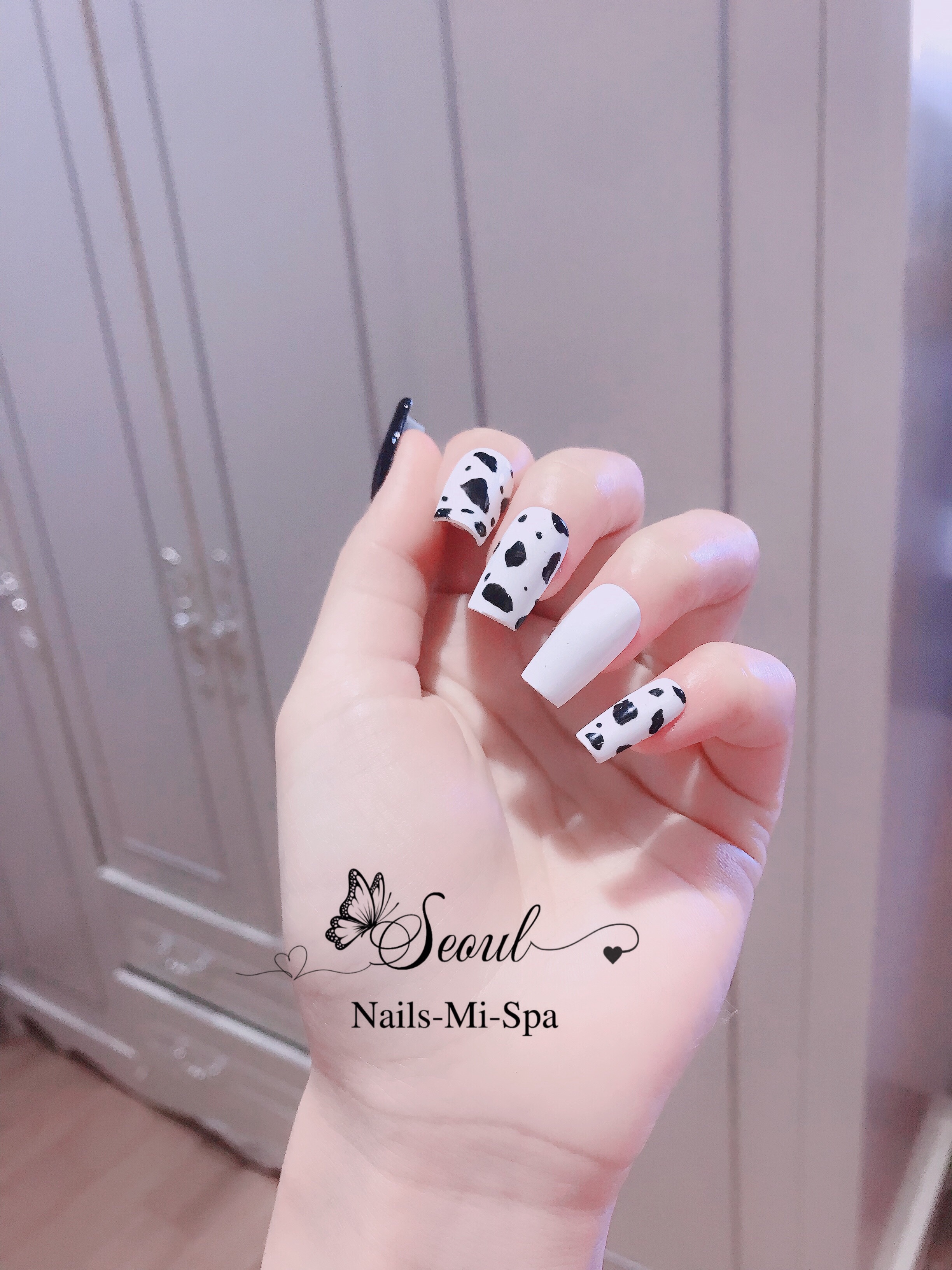 Nail box móng úp sẵn