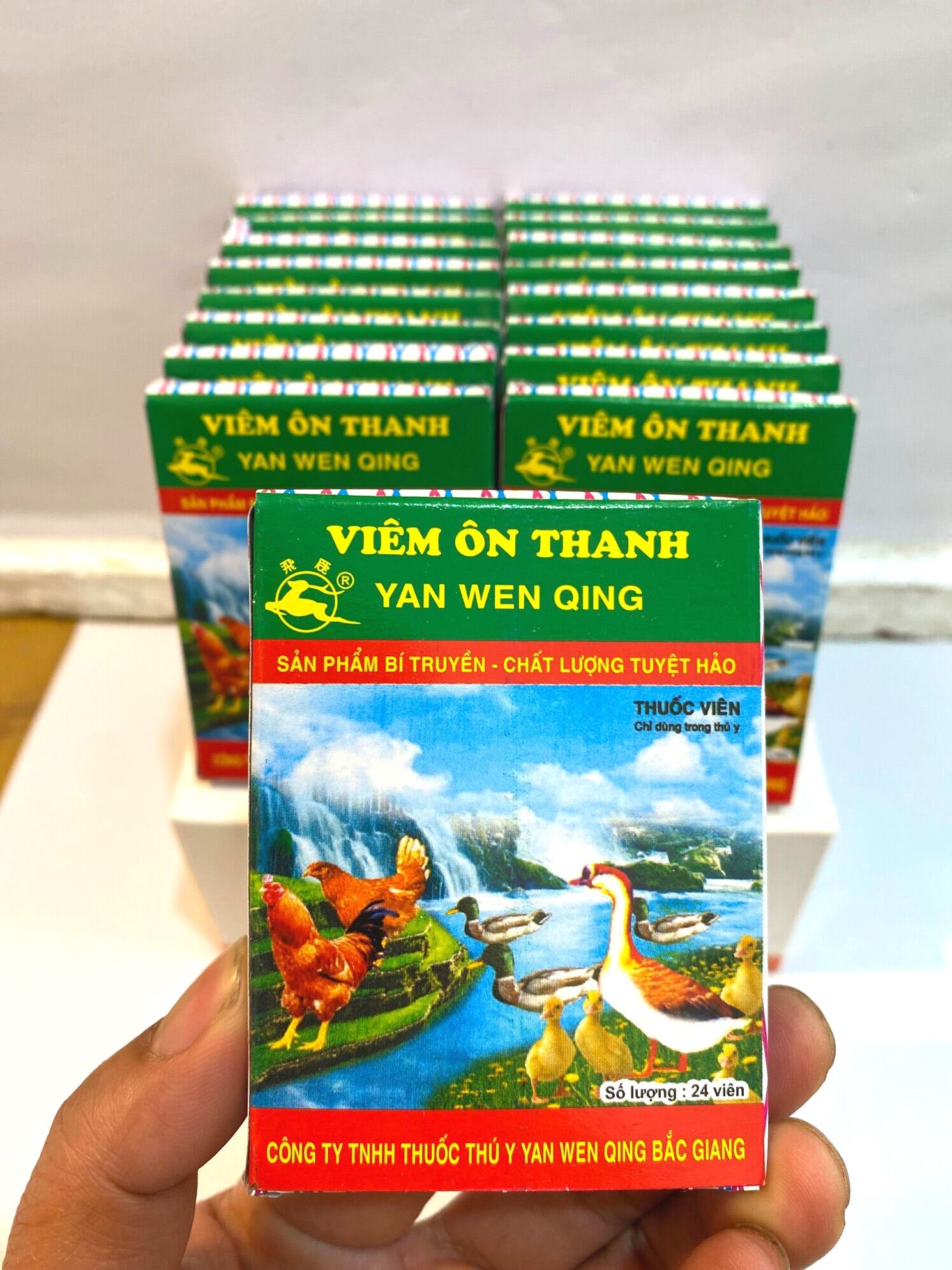 {Chính Hãng} Combo (5 vỉ) Viêm Ôn Thanh- Flosal(10ml) Thảo mộc cho Gà Đá chim cảnh