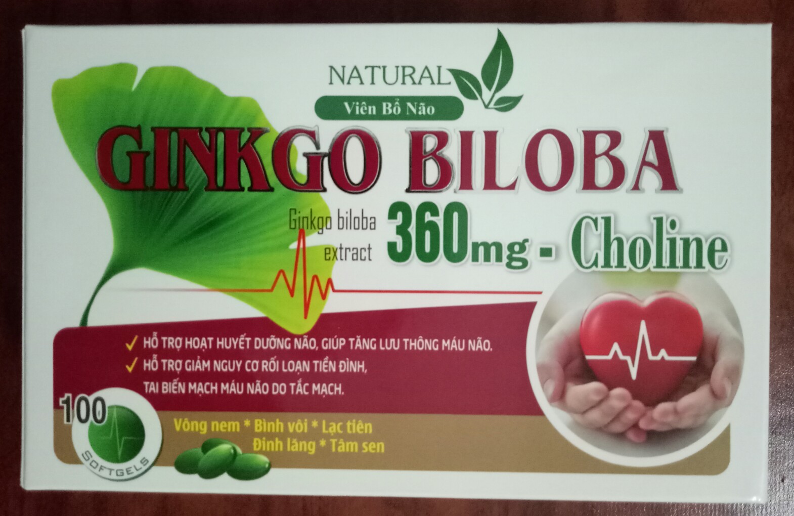 [Hcm]Viên Bổ Não Ginkgo Biloba 360