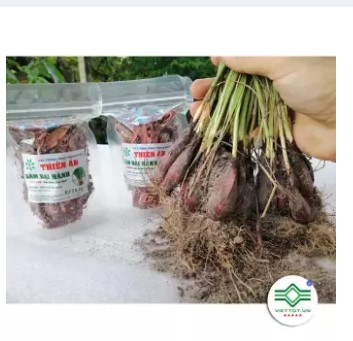 Sâm Đại Hành (Tỏi Đỏ) - Gói 1Kg Tmc151