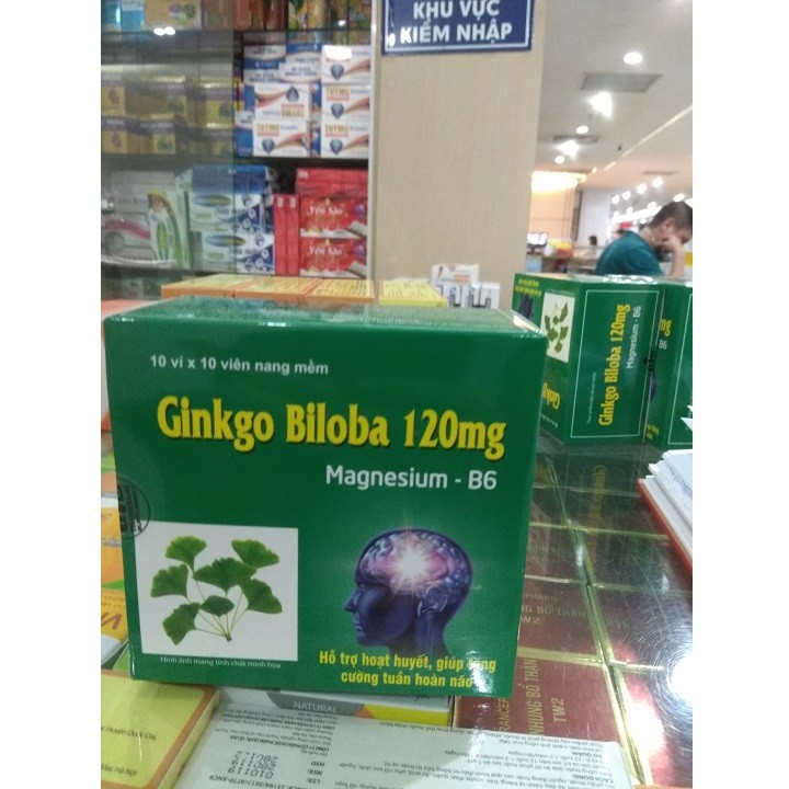 Combo 2 Hộp Ginkgo Biloba 12Mg - Viên Bổ Não - Dưỡng Não - Chính Hãng - Gk2