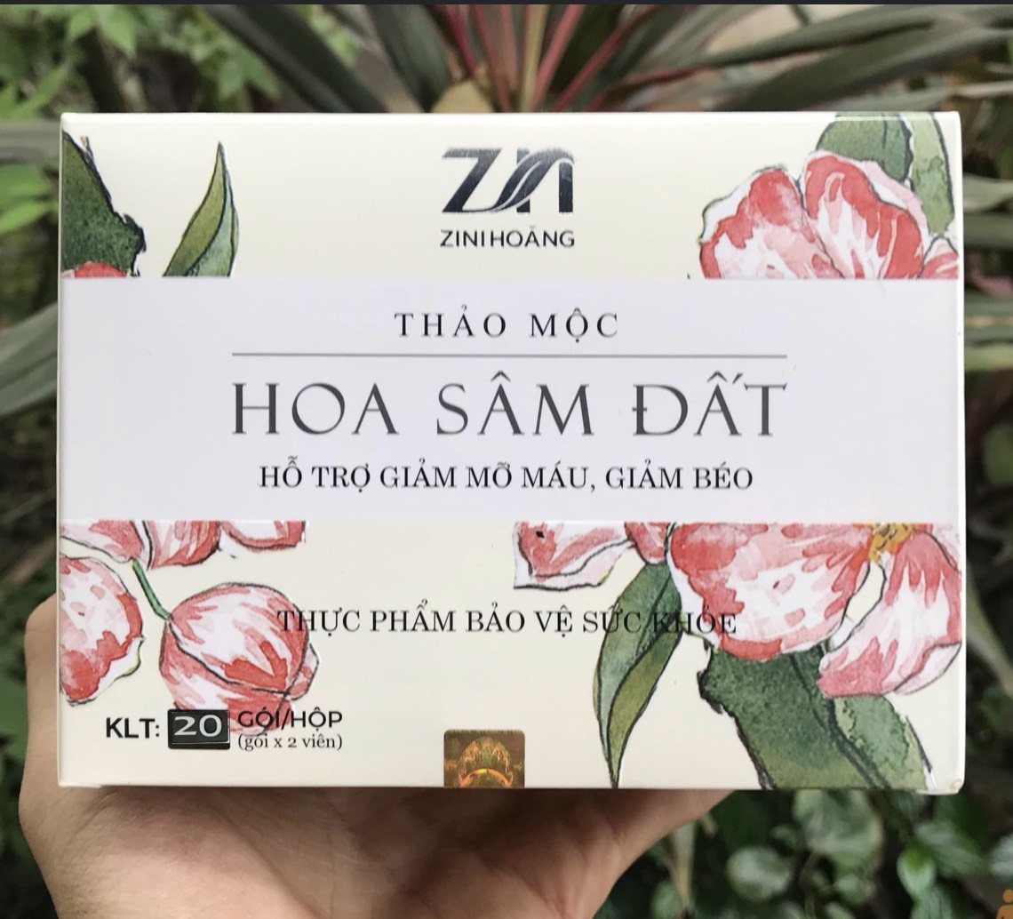 Trà Giảm Cân Hoa Sâm Đất Mẫu Mới Nhất (20 Gói X 02 Viên) – Hỗ Trợ Giảm Cân Mỡ Máu Béo Phì