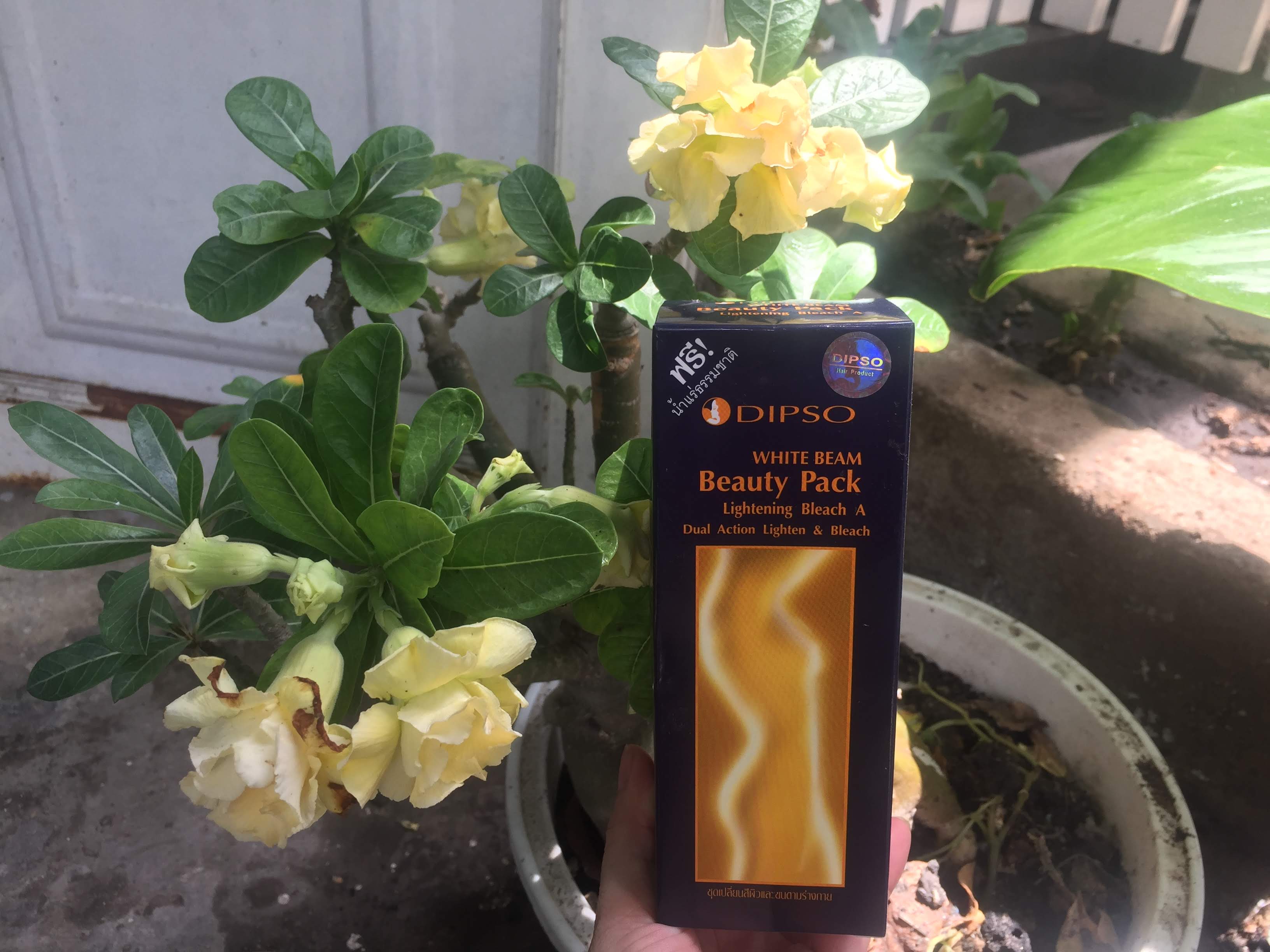 Sét tắm trắng da từ thiên nhiên DIPSO Thái Lan 90 ml