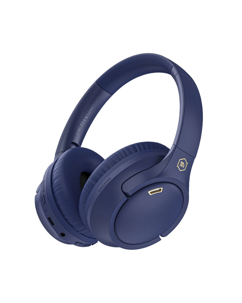 Tai nghe chụp tai Bluetooth Alpha Works FLEX 680 - Đen, Xanh