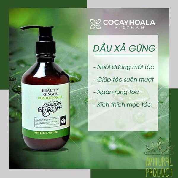 [Hcm]Dầu Xả Gừng Thảo Dược - Chai 300 Ml