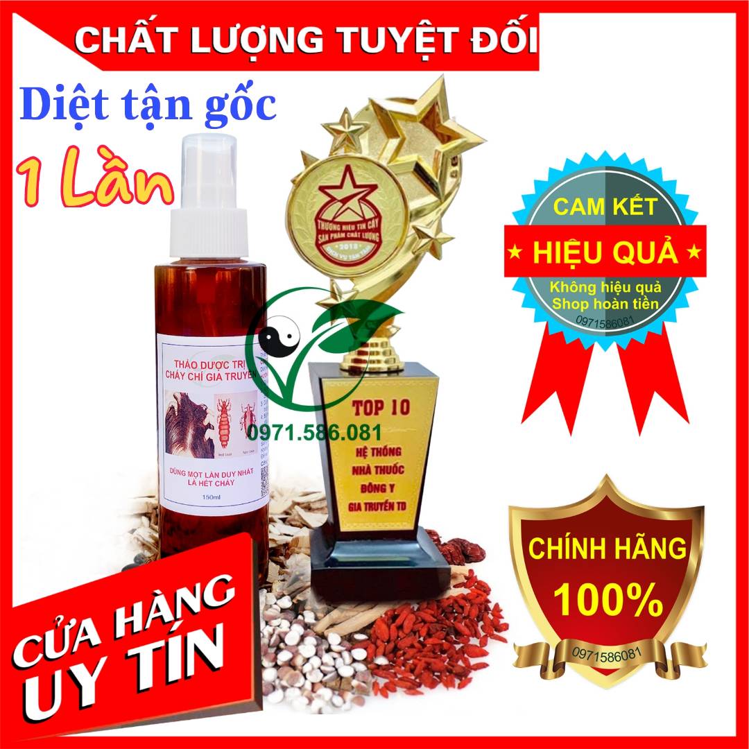 Ủ Chấy Thảo Dược. Hiệu Quả Ngày Lần Đầu Sử Dụng