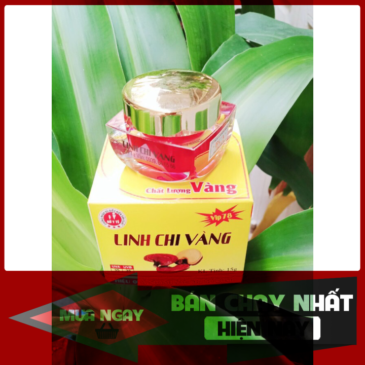[HCM]KEM NÁM TÀN NHANG ĐỒI MỒI LINH CHI VÀNG 15G