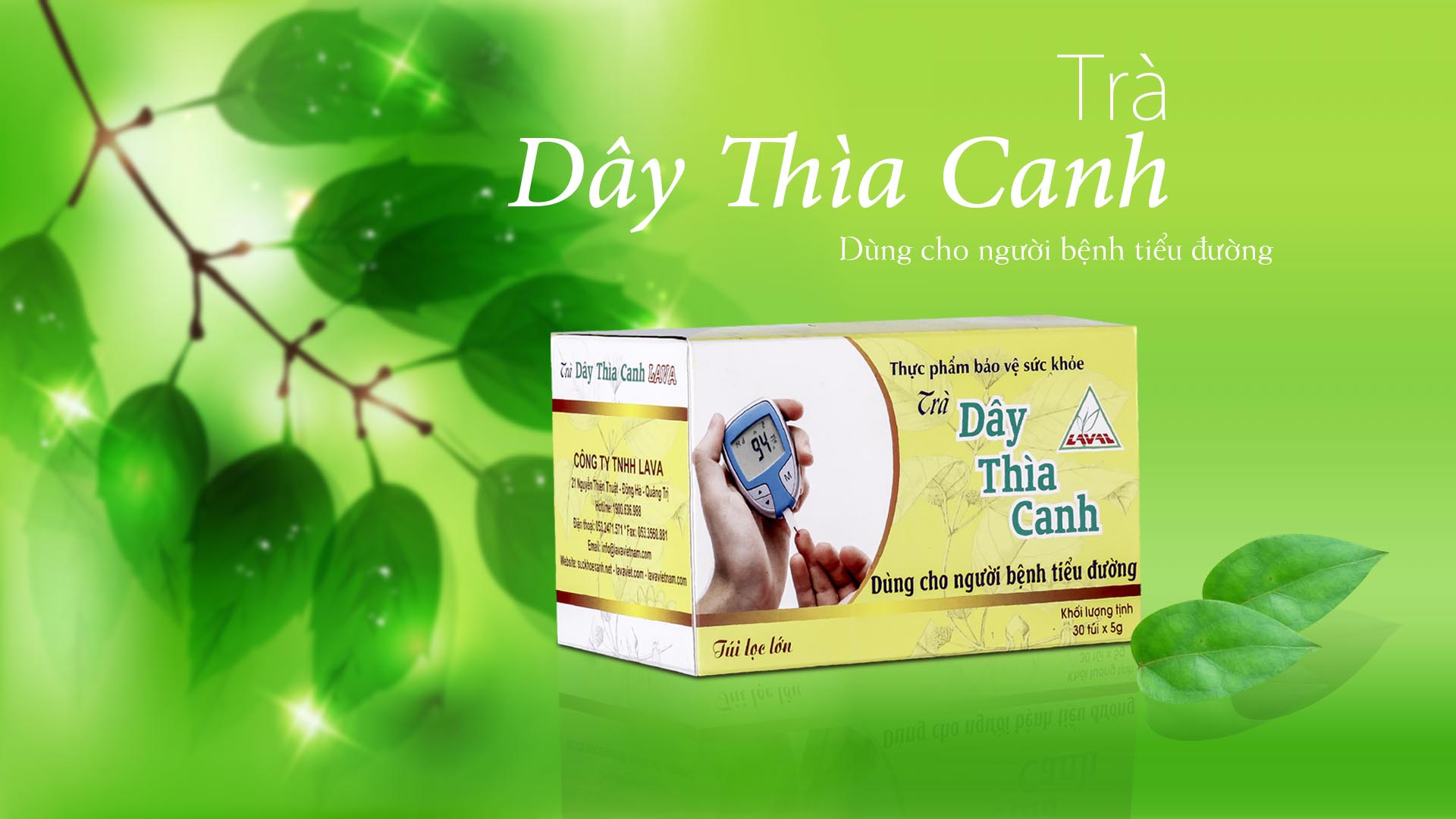 Dây Thìa Canh Lava Cho bệnh Tiểu Đường