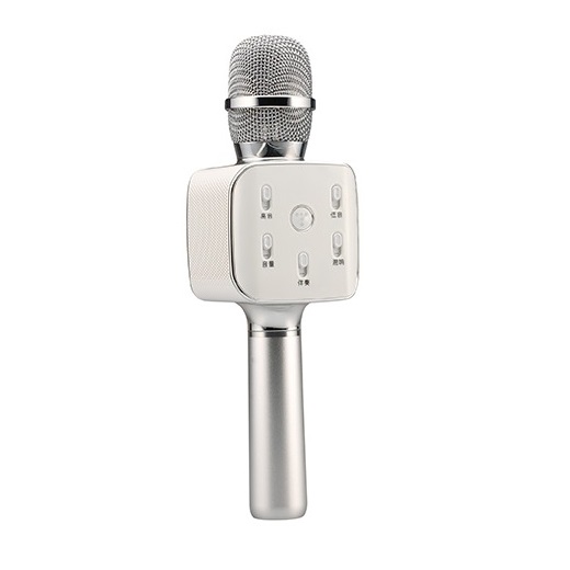 Micro karaoke bluetooth Tosing Q7s