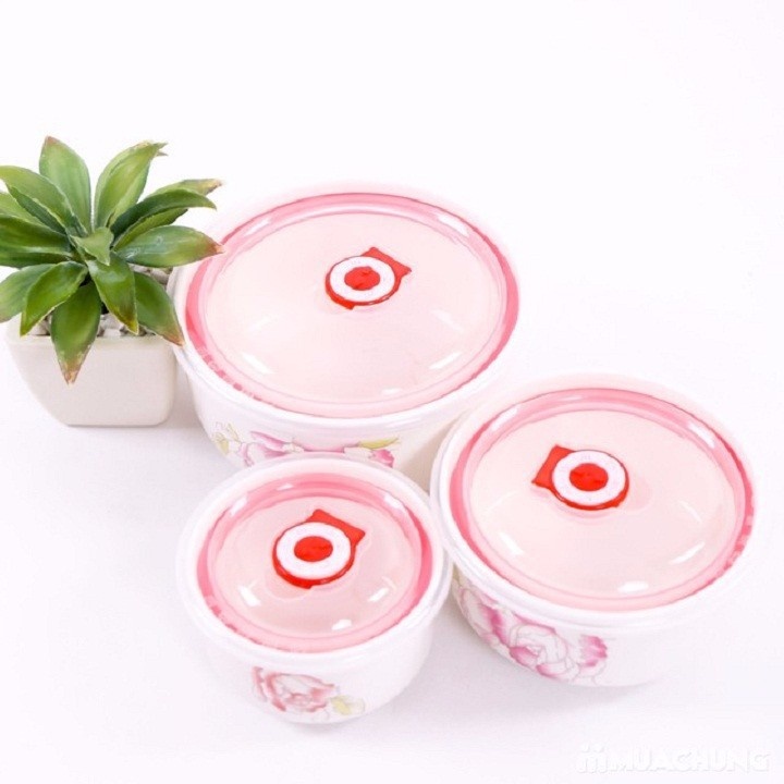 Bát sứ có nắp hút chân không 5