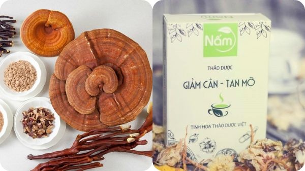 thảo dược nấm giảm cân