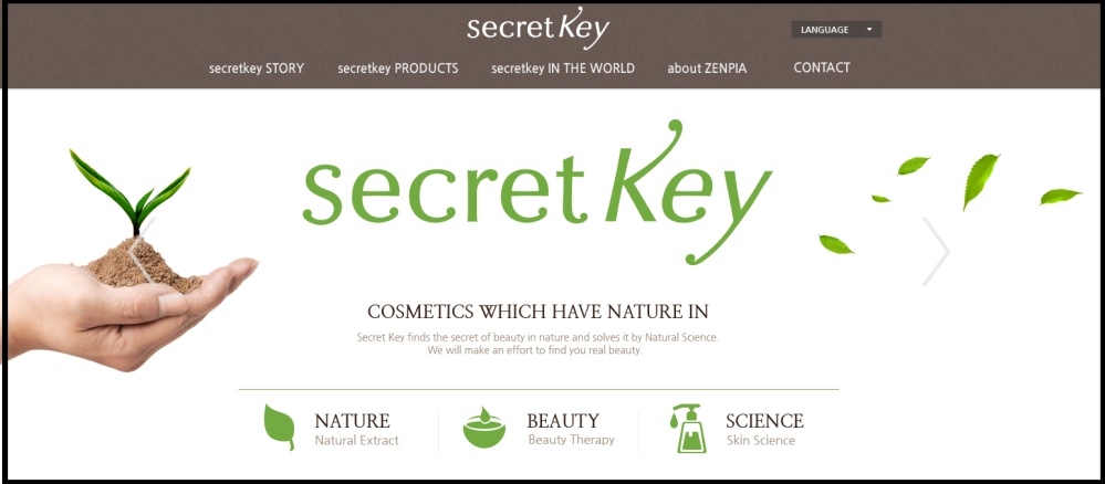 Image result for secret key logo