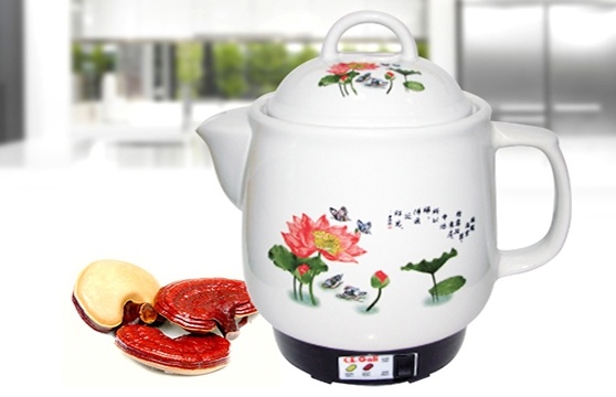 Kết quả hình ảnh cho Siêu sắc thuốc Gali GL-1807