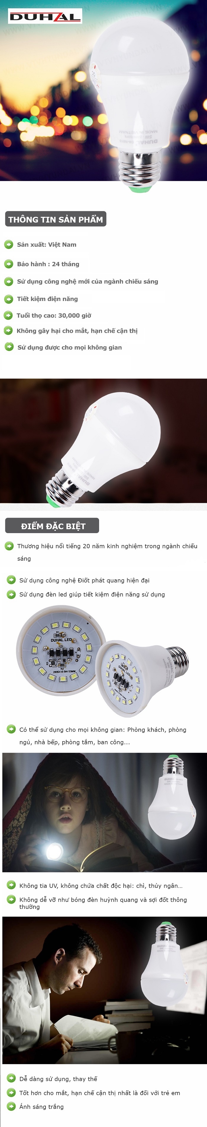 30000679_DUHAL--Bo-10-bong-den-LED1492166003242.jpg