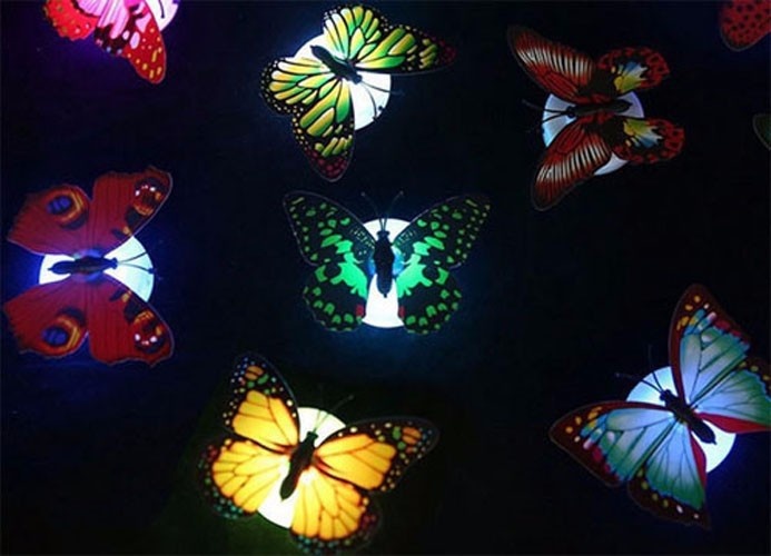 Combo 5 chiếc Đèn Led bướm phát sáng dán tường 4