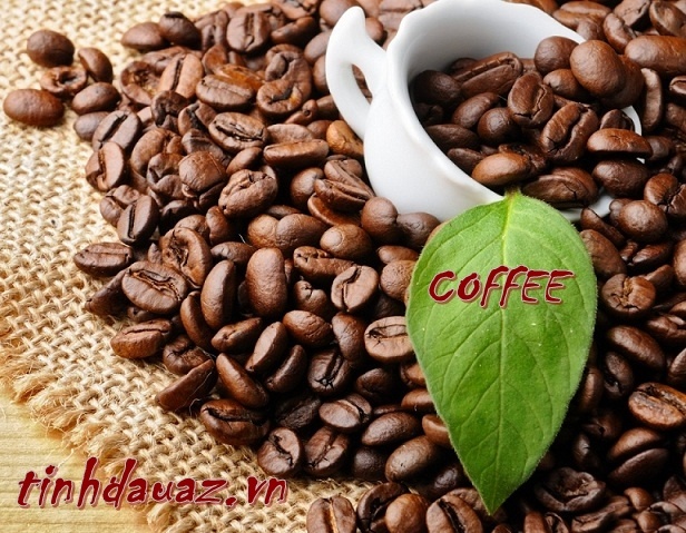 tinh dầu cà phê