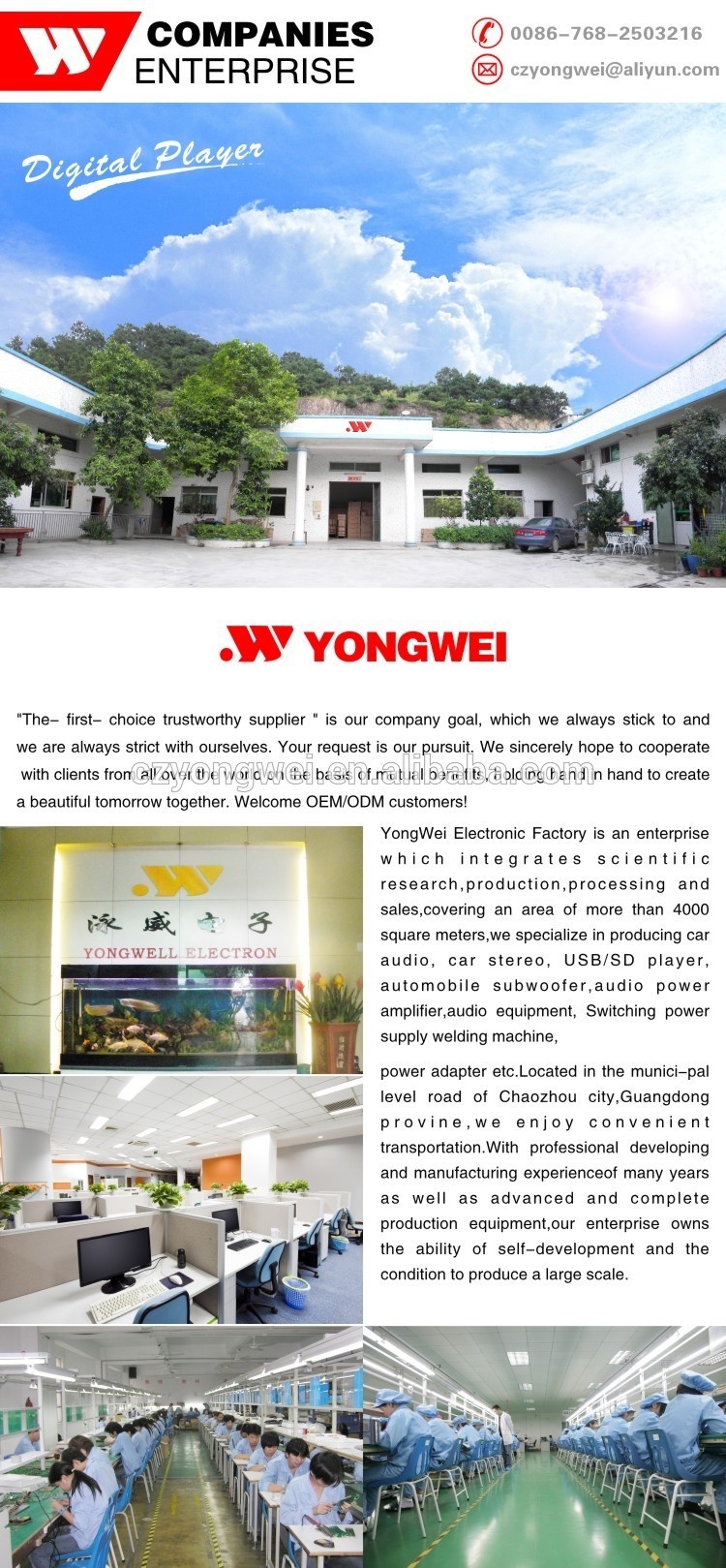 Bộ khuếch đại công suất cao chuyên nghiệp 12 v 2 kênh xe máy nghe nhạc nhỏ YW 100