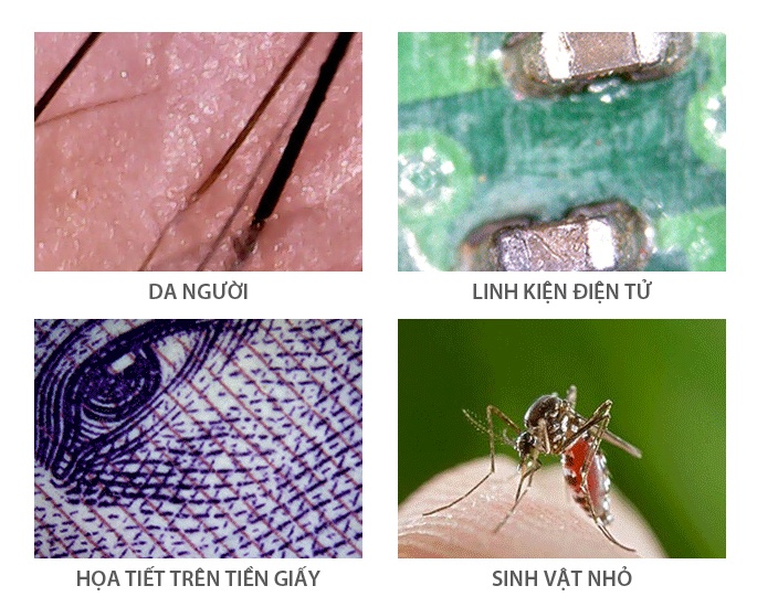 Hình ảnh trên kính
