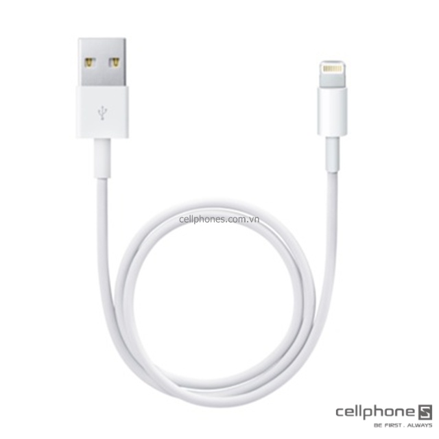 Apple Lightning to USB cable