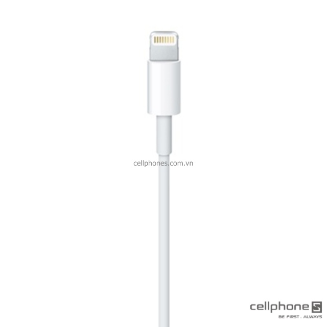 Apple Lightning to USB cable
