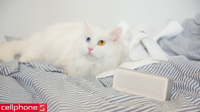 Xiaomi Mi Square Box 2 2017 | CellphoneS.com.vn
