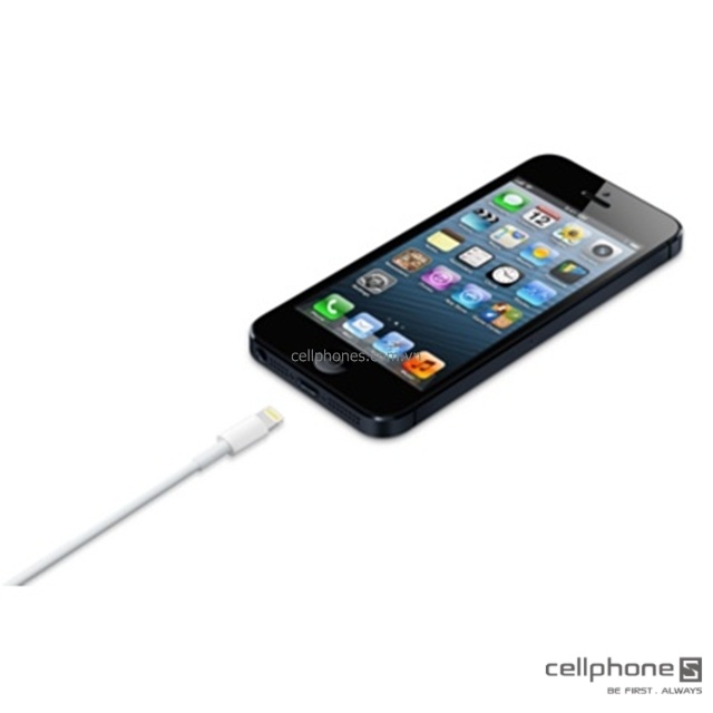 Apple Lightning to USB cable