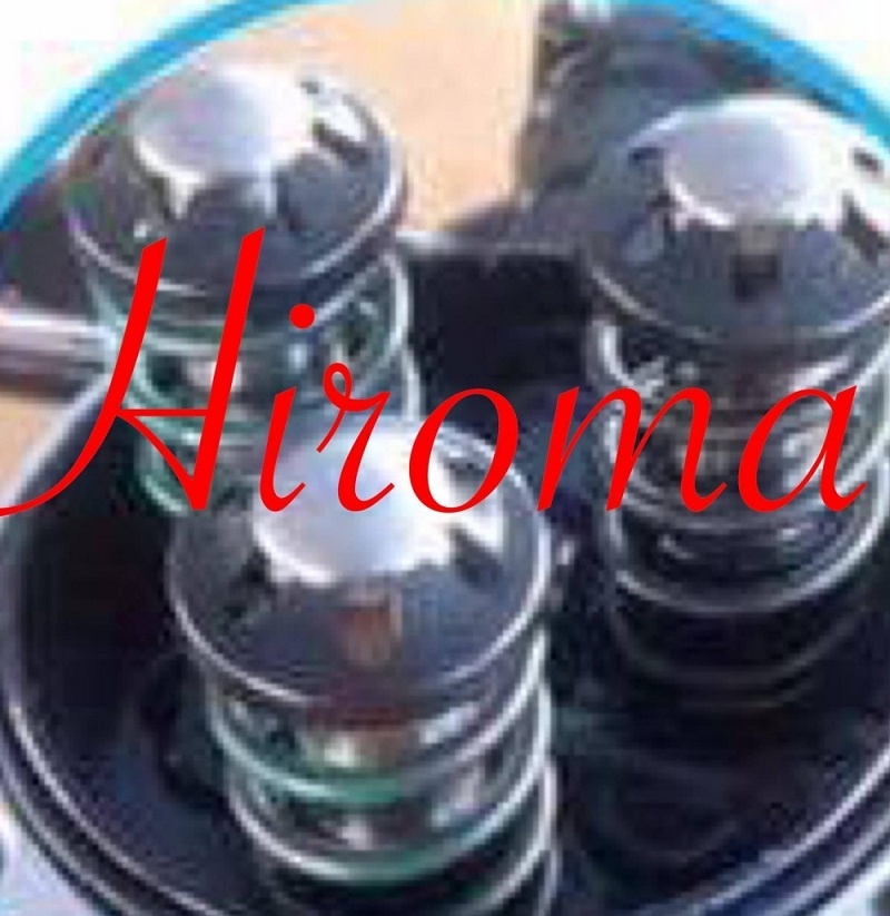 Máy rửa xe áp lực cao chính hãng HIROMA MODEL MỚI NHẤT 2018 động cơ cảm ứng từ êm ái, tự hút nước