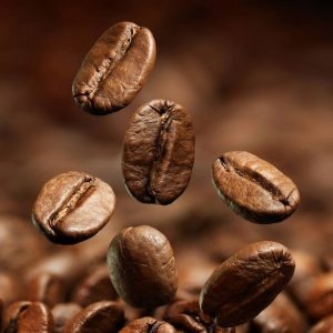 Arabica cầu đất