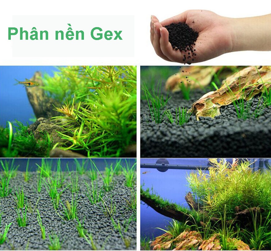 Phân Nền Gex 1 kg dạng túi, cho cây thủy sinh, bể cá, ao cá, hồ cá....( Xanh)