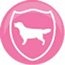 Petshop Hcm