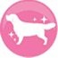 Petshop Hcm