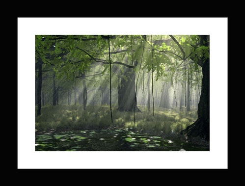 Bộ khung ảnh treo tường Forest - Có sẵn hình 18