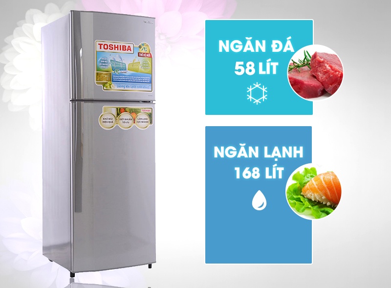 Tủ lạnh Toshiba GR-S25VPB