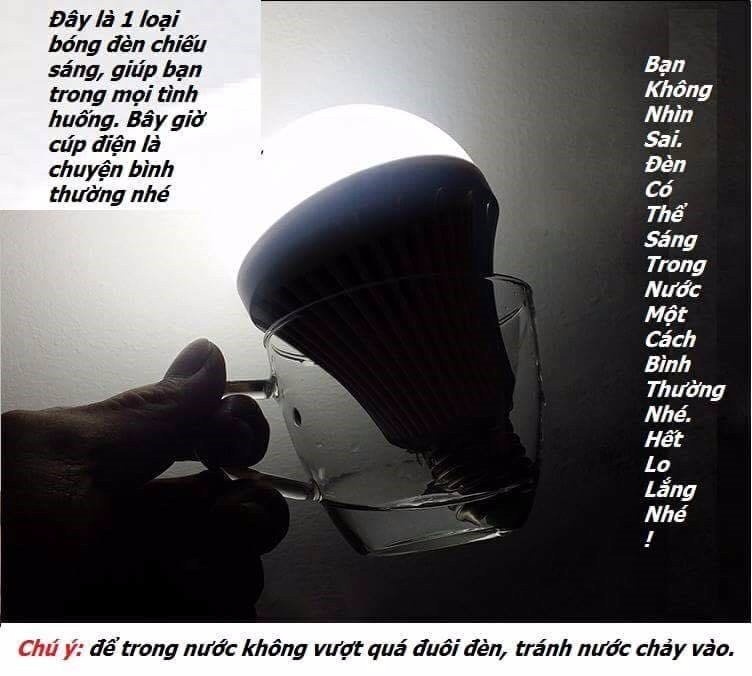 Bóng Đèn Led Tích Điện Cảm Ứng Nhiệt 15W -0965.011.567 12