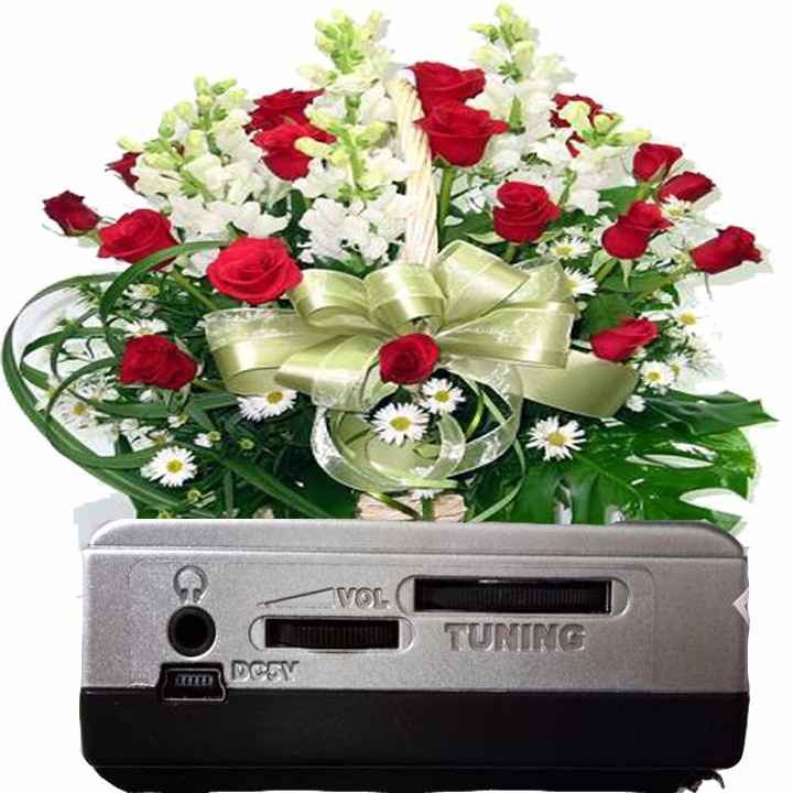 ĐÀI RADIO USBKIÊM MÁY NGHE NHẠC MP3 SW-515U 2