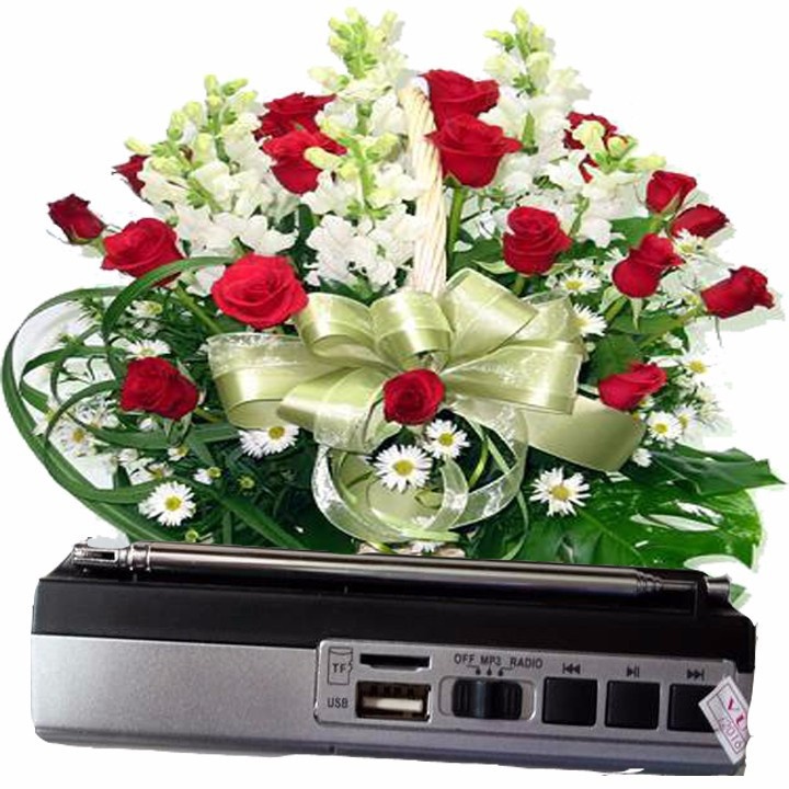 ĐÀI RADIO USBKIÊM MÁY NGHE NHẠC MP3 SW-515U 3