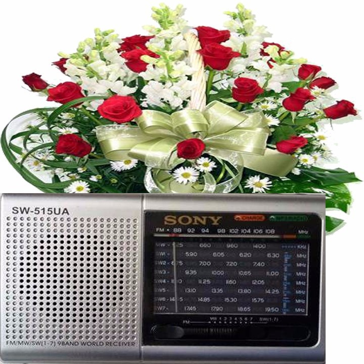 ĐÀI RADIO USBKIÊM MÁY NGHE NHẠC MP3 SW-515U 1