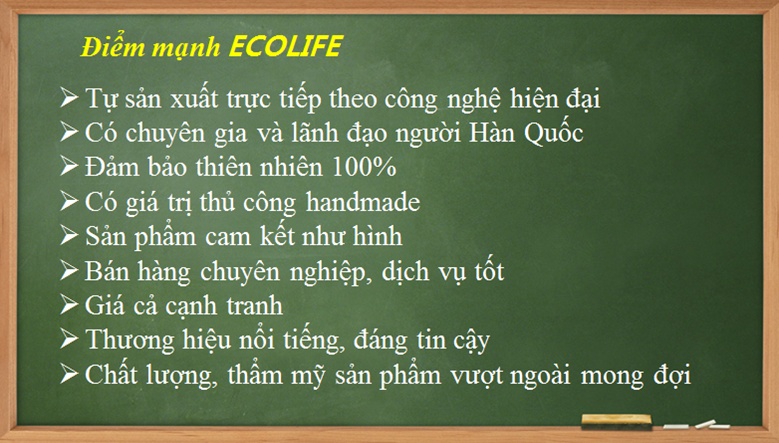 Tinh dầu quế lau nhà Ecolife 10ml 3