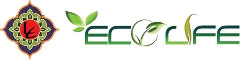 Tinh dầu quế lau nhà Ecolife 10ml 1